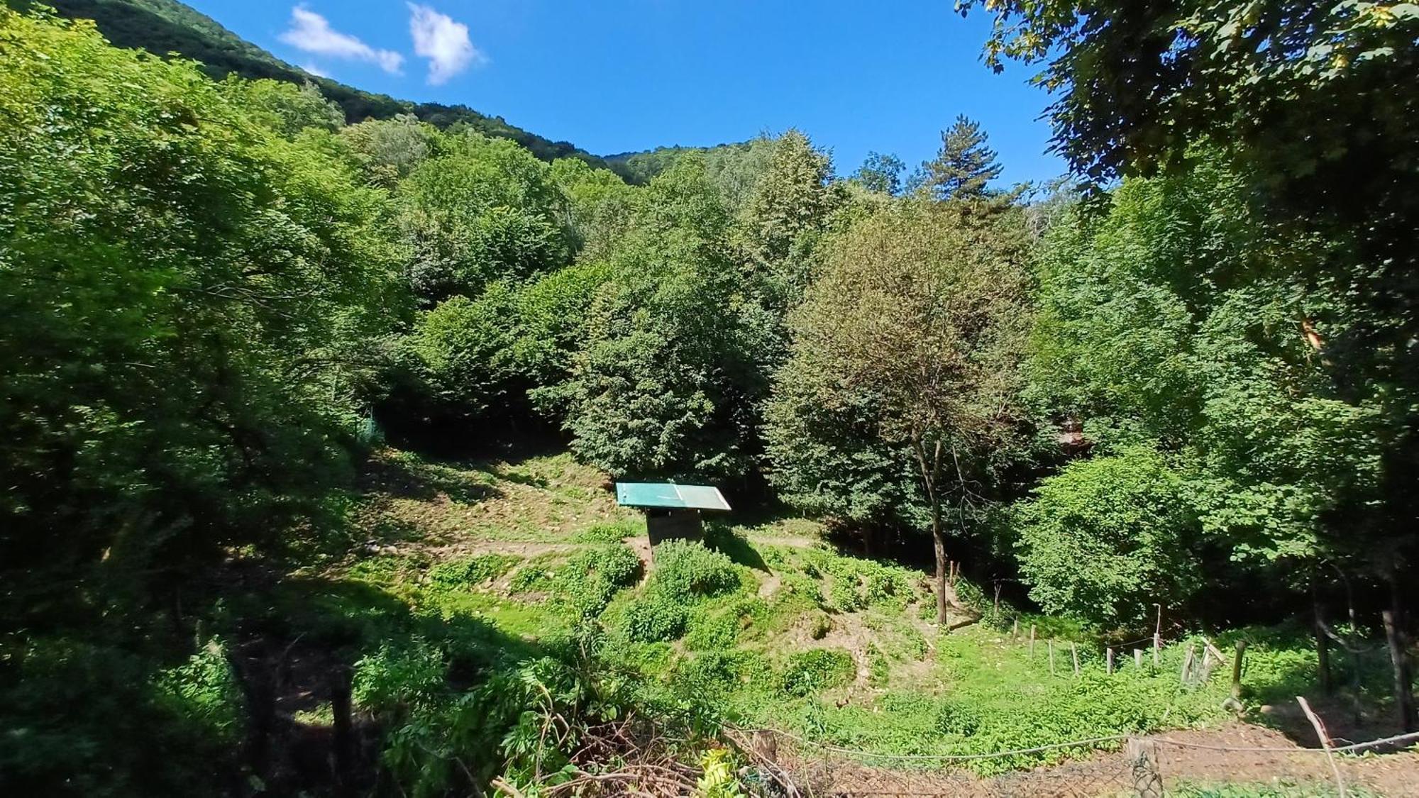 La Stanza Del Bosco Apartment Arcumeggia Екстериор снимка
