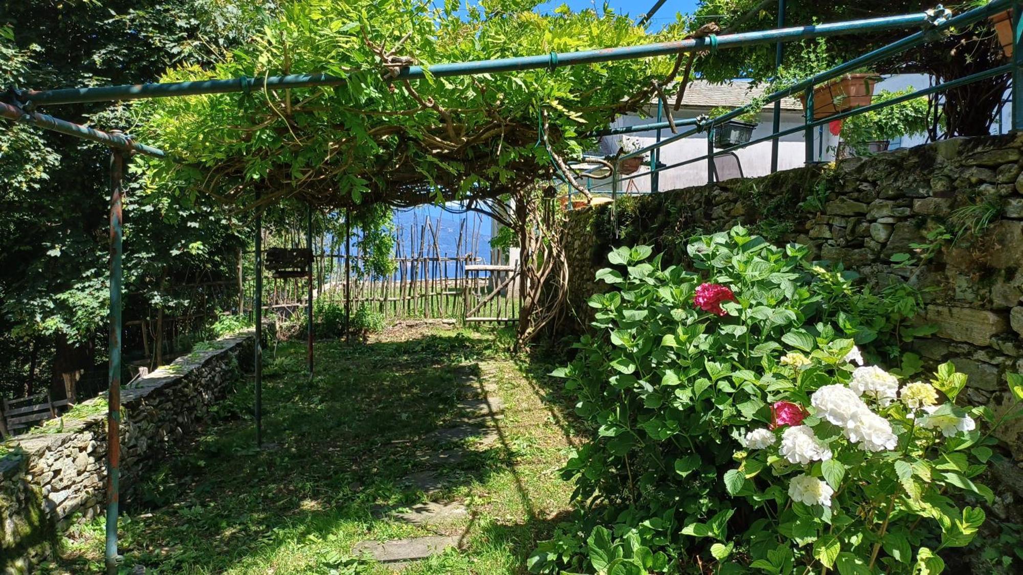 La Stanza Del Bosco Apartment Arcumeggia Екстериор снимка