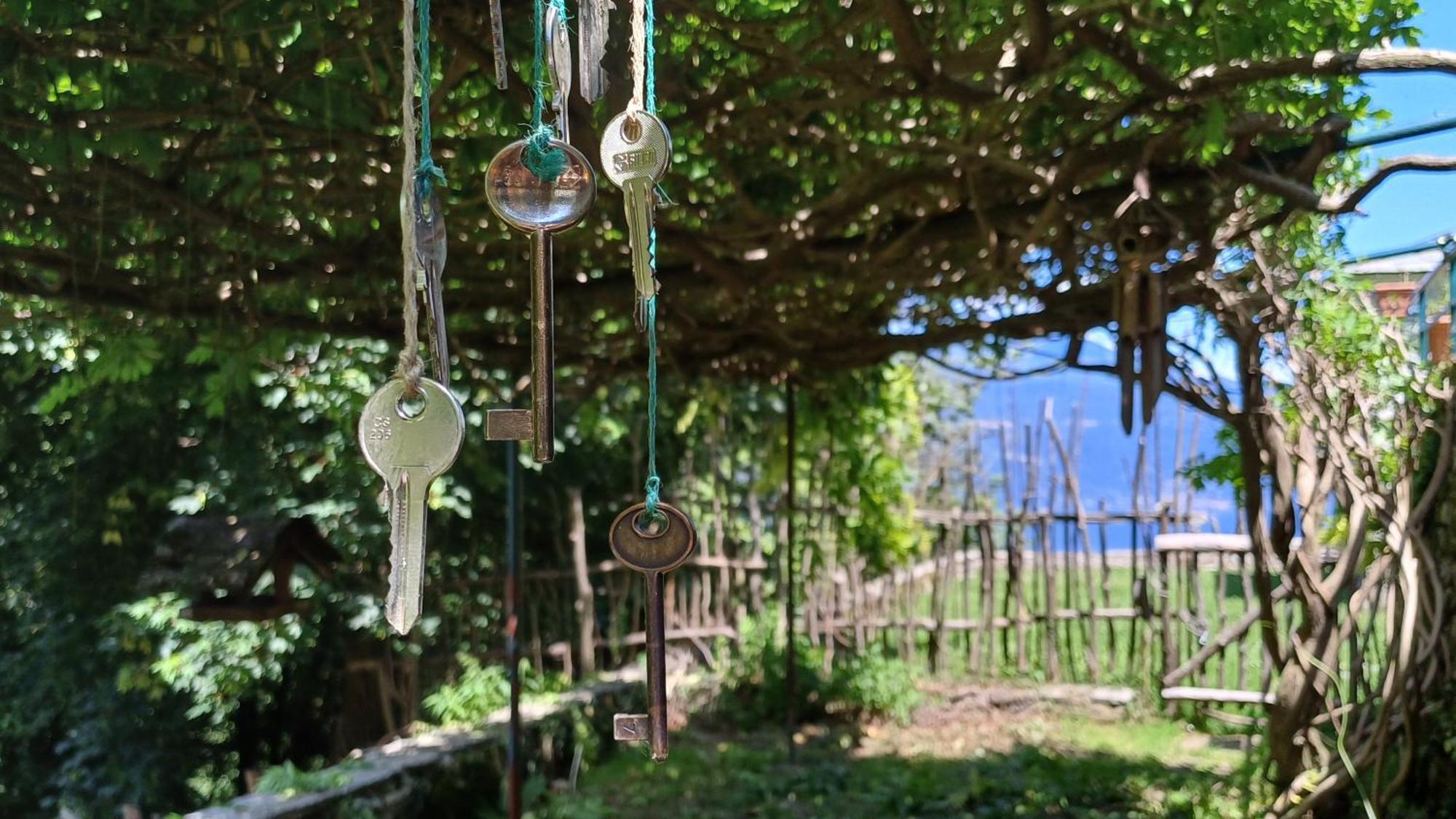 La Stanza Del Bosco Apartment Arcumeggia Екстериор снимка